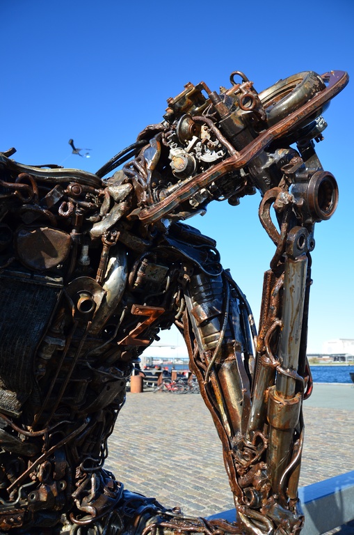 2017-04 Copenhagen/Kastellet/DSC_0356.JPG